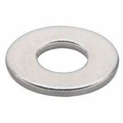 M16 SS Washer